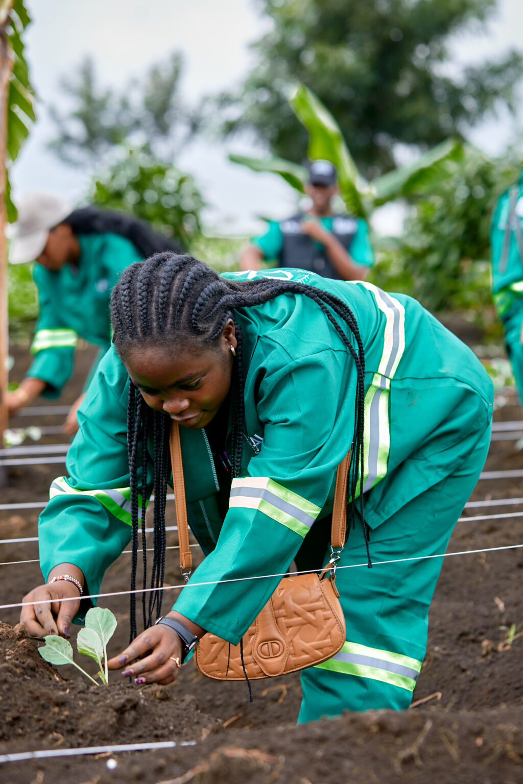 Approche intégrée de développement agricole
