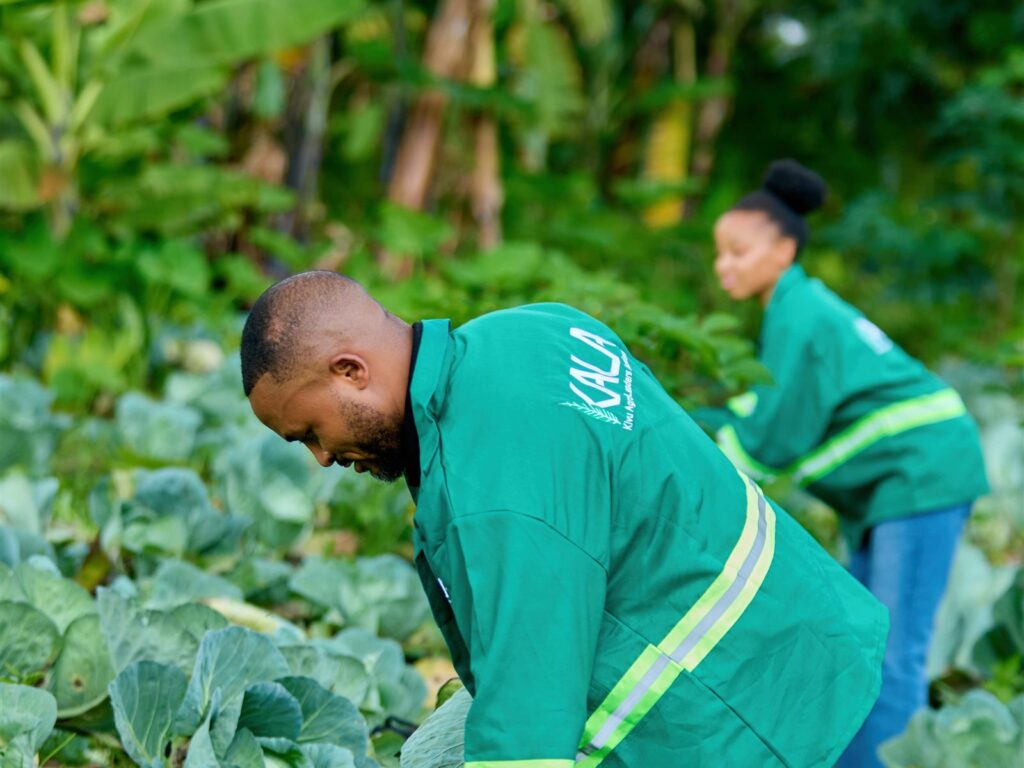 Agriculteurs accompagnés par KALA